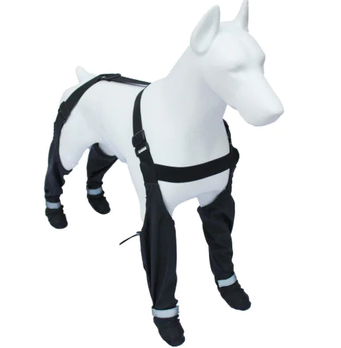 Universal Elastic Dog Shoes for All Seasons